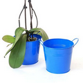 6 1/2" Blue Painted Pail w/ Dual Side Handles